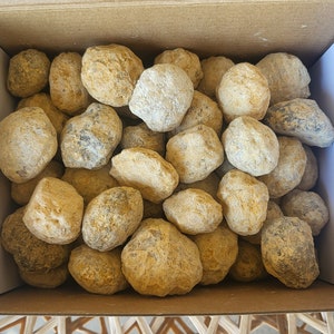 May include: A box filled with approximately 40 light brown and beige geode crystals. The crystals are round and have a rough, textured surface.
