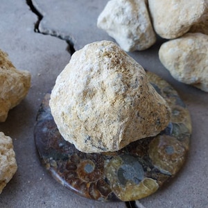 Medium size Unopened Geode From Morocco|Softball Size Break Your Own Geode|Geology|Rocks|Specimens|Crystals|Quartz Crystal|Gift|Quartz Geode