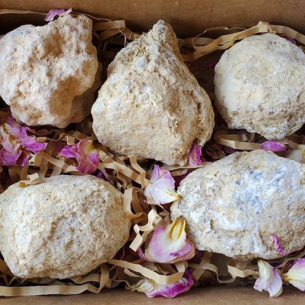 Rompi le tue geodi Confezione regalo Set di cinque PICCOLE geodi non aperte da 1,5" Cristallo di quarzo Geodi Geologia per la scuola domestica ASMR Cristalli Rocce Lapidario