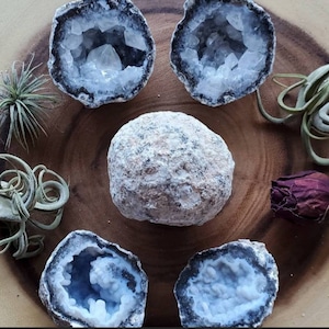 Trancas Geode Break Your Own Geode Mexican Trancas Geode from Mexico 2-2.5 inch Geode