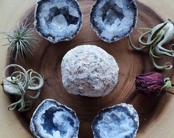 Trancas Geode Break Your Own Geode Mexican Trancas Geode from Mexico 2-2.5 inch Geode