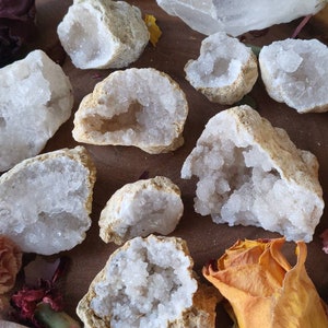 Crystal Quartz Geode Cluster 1 inch Opened Geode Specimen Druzy Raw Stone Healing with crystals witchy