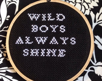 Wild boys always shine cross stitch hoop art.