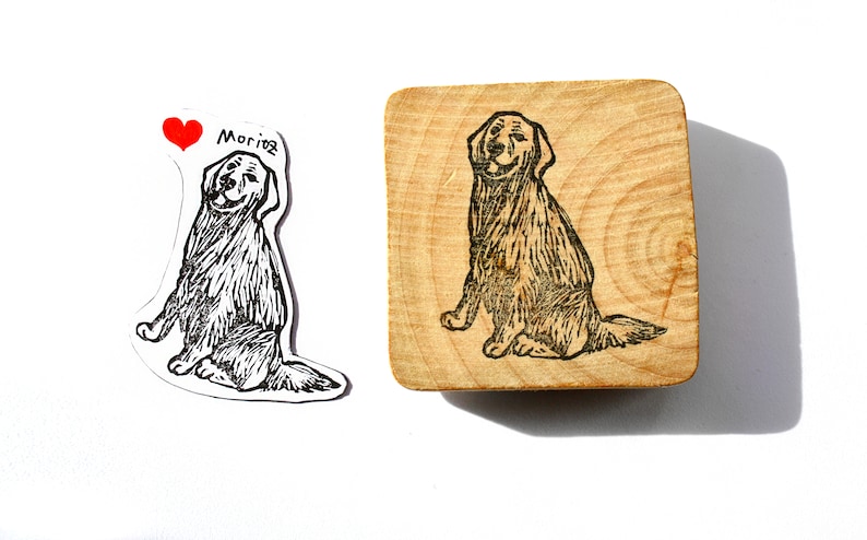 personalized pet fridge magnet, fridge magnet stamp set, dog necklace, dog magnet, cat stamp, pet stamp, gift for animal lover, souvenir image 1