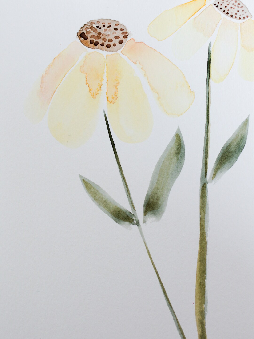 Digital Coneflowers Watercolor - Etsy