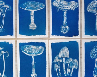 Stencil per cianotipia di funghi / Negativi per stampe solari di funghi / Materiali per l'arte naturalistica in stile cottagecore