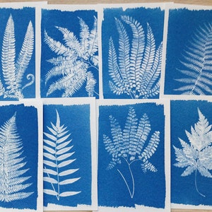 Stencil cianotipia, kit cianotipia solo stencil, kit di artigianato per adulti, fai da te, stampa cianotipia, kit fai da te, kit di artigianato, stencil di foglie di felce