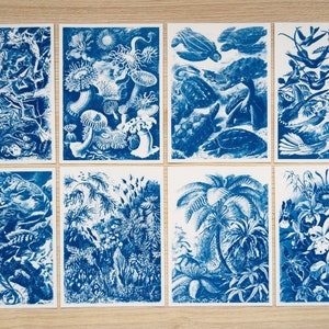 Stencils cyanotype, cyanotype kit alleen stencils, cyanotype print, doe-het-zelf, vintage dieren cyanotype, botanische cyanotypekunst