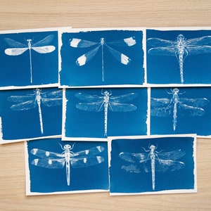 Pochoirs cyanotype, kit cyanotype juste des pochoirs, travaux de bricolage, impression cyanotype, kit de création, pochoirs libellule cyanotype, art libellule