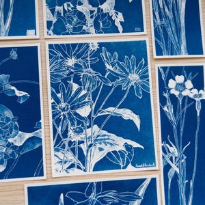 Botanical Cyanotype Stencils for Sun Printing | Reusable Floral Negatives | Blue Print Art Supplies