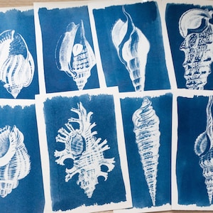 Cyanotype stencils, diy craft, cyanotype kit just stencils, cyanotype print, craft kit, shells stencils