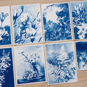 Stencil cianotipia, kit cianotipia solo stencil, artigianato fai da te, stampa cianotipia, kit artigianale, arte botanica, stampa cianotipia di fiori