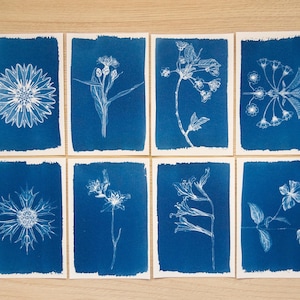 Stencil cianotipia, kit cianotipia solo stencil, stencil cianotipia fiori vintage, artigianato fai da te, stampa cianotipia, arte botanica cianotipia