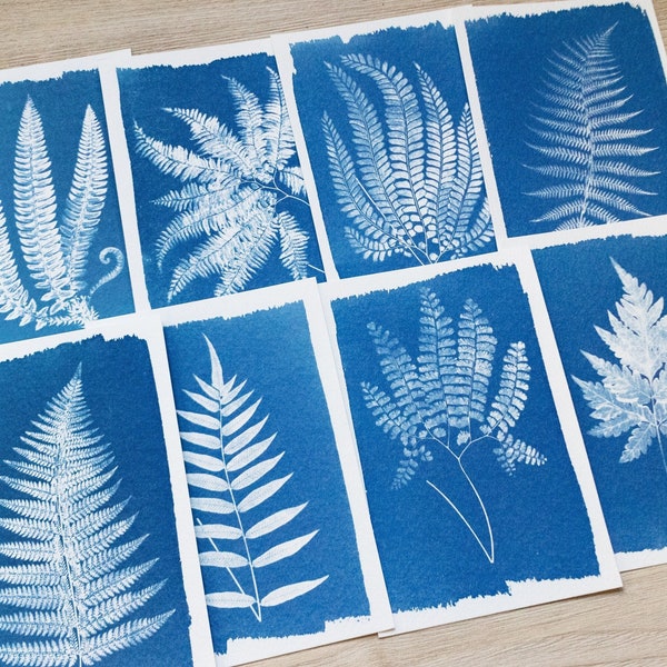 Fern leaves cyanotype stencils, diy craft, cyanotype kit just stencils, cyanotype print, diy kit, craft kit, fern leaves stencils