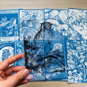 Kit cyanotype, pochoirs cyanotype, art solaire, kit de création, bricolage, pochoirs cyanotype, kit de création pour adultes, pochoirs oiseaux, pochoirs hiboux
