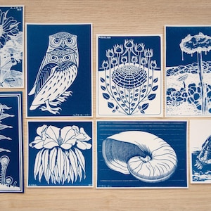 Pochoirs cyanotype, kit cyanotype juste des pochoirs, travaux de bricolage, impression cyanotype, kit de création