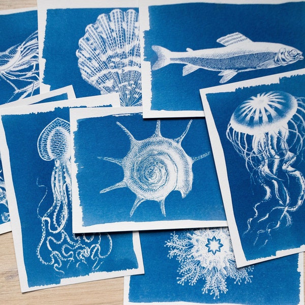 Pochoirs cyanotype, kit cyanotype juste des pochoirs, travaux de bricolage, impression cyanotype, kit de création, pochoirs d'animaux marins