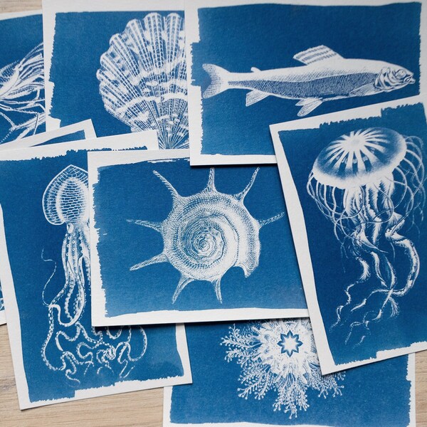 Pochoirs cyanotype, kit cyanotype juste des pochoirs, travaux de bricolage, impression cyanotype, kit de création, pochoirs d'animaux marins