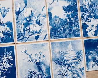 Stencil per cianotipia botanica / Negativi floreali per stampe solari / Regalo creativo a tema natura per artisti