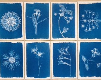 Stencil floreali botanici vintage in cianotipia / Negativi per stampa solare / Regalo a tema natura in stile cottagecore