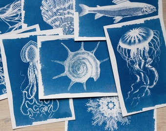 Pochoirs cyanotype, bricolage, kit cyanotype juste des pochoirs, impression cyanotype, kit de création, pochoirs animaux marins