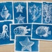 see more listings in the Pochoirs cyanotypes section