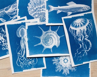 Pochoirs cyanotype, kit cyanotype juste des pochoirs, travaux de bricolage, impression cyanotype, kit de création, pochoirs d'animaux marins