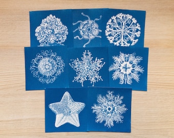 Cyanotype stencils, cyanotype kit just stencils, diy craft, cyanotype print, craft kit, sea creatures stencils
