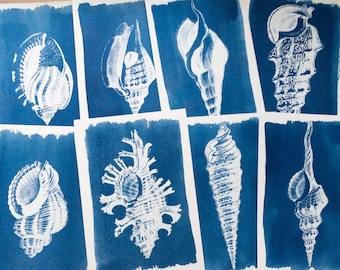 Pochoirs cyanotype, bricolage, kit cyanotype juste des pochoirs, impression cyanotype, kit de création manuelle, pochoirs coquillages