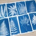 see more listings in the Cyanotype stencils section
