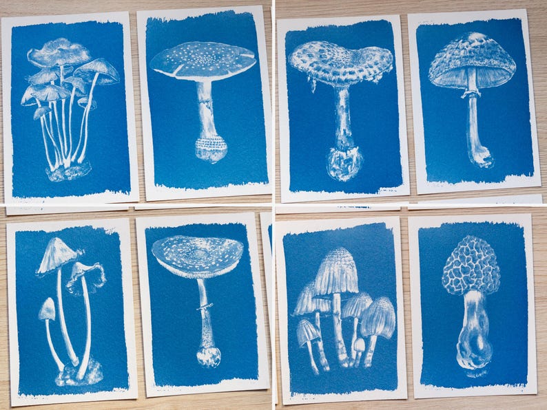 fungi cyanotype prints