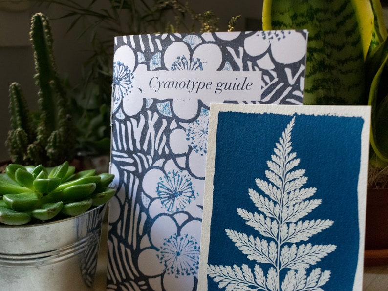 how to make cyanotype guide