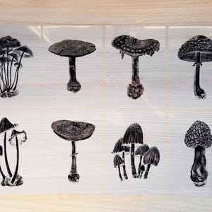cyanotype stencils