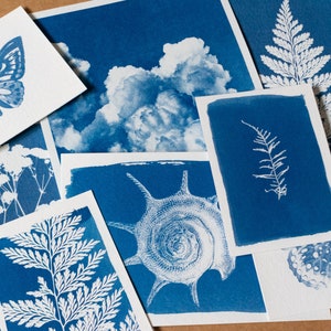 various cyanotype prints on a wood table made with a craft kit