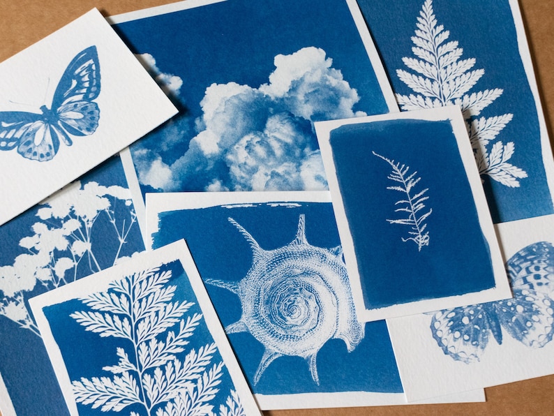 various cyanotype prints on a wood table made with a craft kit