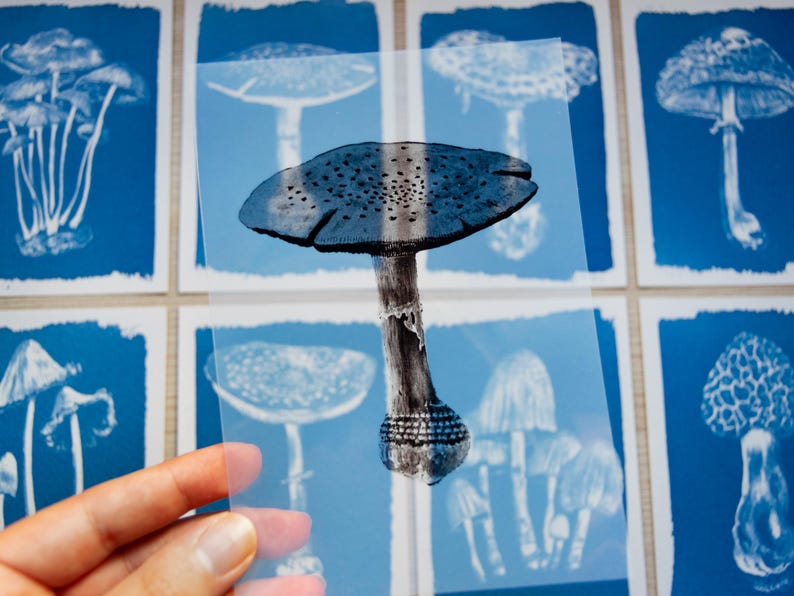 mushroom art