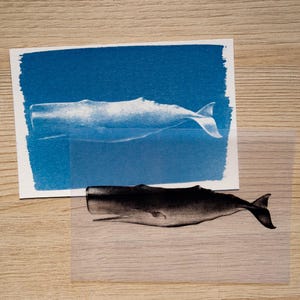 Cyanotype kit, craft kit for adults, solar printing kit, diy craft, diy cyanotype kit, diy kit, cyanotype print, craft kit, cyanotype art image 18