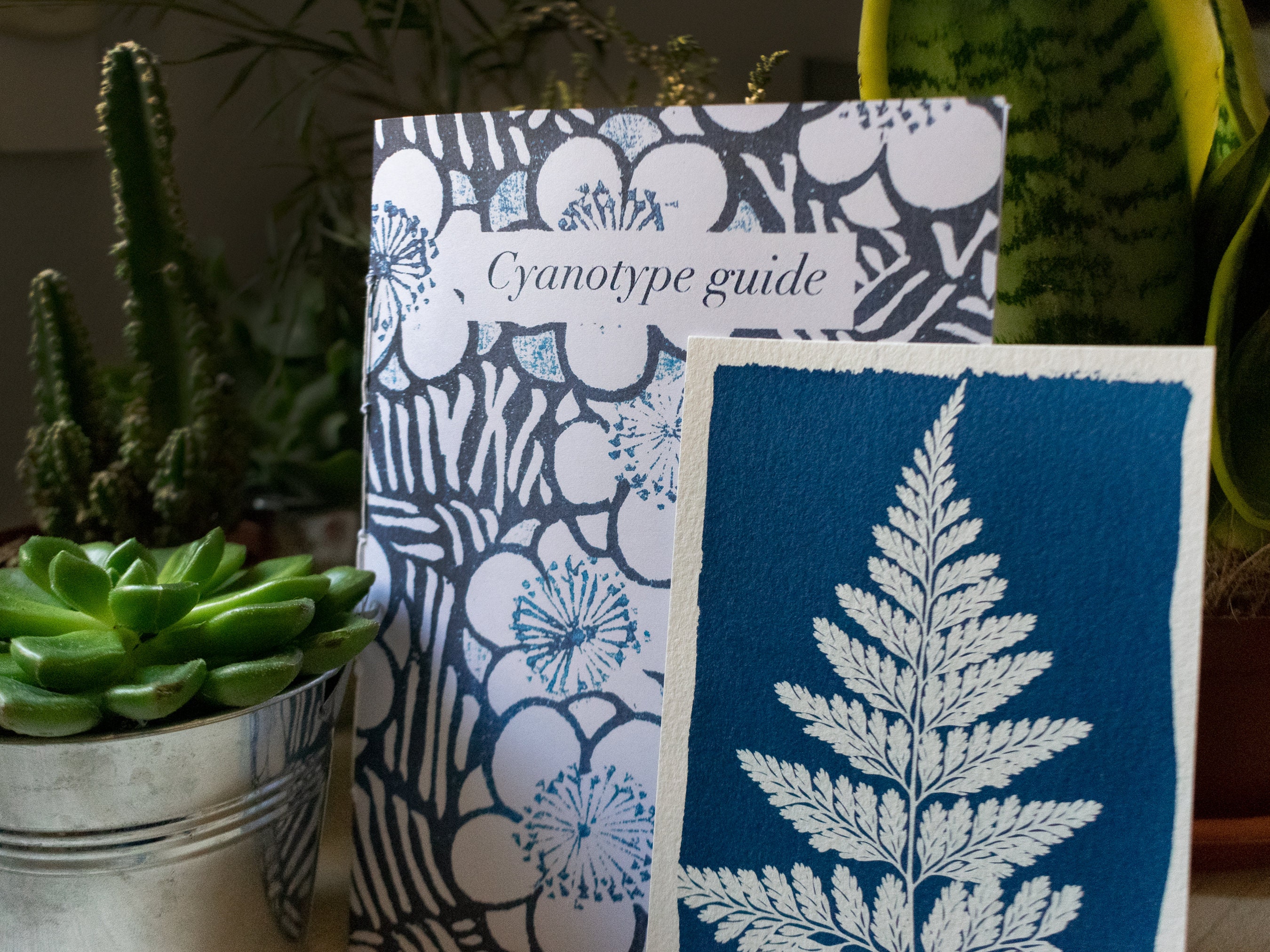 Cyanotype kit  Create cyanotype art - Paperfulshop