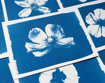 Stencil di cianotipia con fiori pressati / Negativi di stampa botanica solare / Regalo a tema natura in stile cottagecore