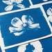 see more listings in the Cyanotype stencils section