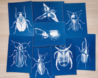 Stencil per cianotipia di coleotteri / Negativi di stampa solare di insetti / Regalo artistico a tema natura