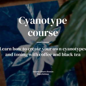 Cyanotype Step Chart.pdf Cyanotype Tutorial PDF | Beginner Sun Print Course With Videos ...
