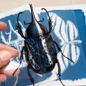 Kit cyanotype, pochoirs cyanotype, art solaire, kit de bricolage, travaux de bricolage, kit de bricolage pour adultes, impression cyanotype, kit de bricolage, kit d'impression solaire