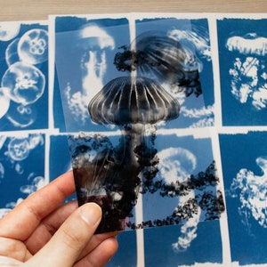 Cyanotypekit, cyanotypestencils, zonnekunst, zonnedrukkit, knutselpakket, doe-het-zelf, knutselpakket voor volwassenen, cyanotypiestencils kwallen