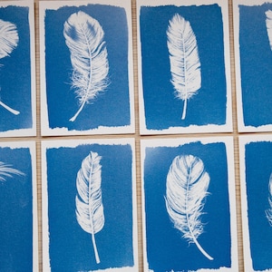Stencil cianotipia, stencil per kit di stampa solare, kit cianotipia solo stencil, stampa cianotipia, artigianato fai da te, kit di artigianato, stencil di piume