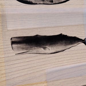 Cyanotype kit, craft kit for adults, solar printing kit, diy craft, diy cyanotype kit, diy kit, cyanotype print, craft kit, cyanotype art image 17