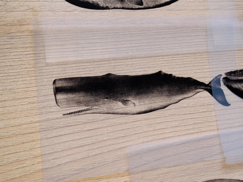 Cyanotype kit, craft kit for adults, solar printing kit, diy craft, diy cyanotype kit, diy kit, cyanotype print, craft kit, cyanotype art image 17