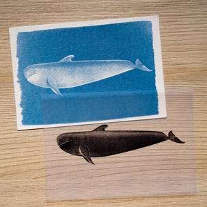 Cyanotype kit, craft kit for adults, solar printing kit, diy craft, diy cyanotype kit, diy kit, cyanotype print, craft kit, cyanotype art image 14