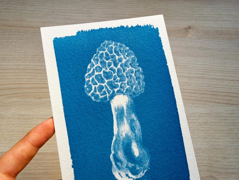 fungi cyanotype print