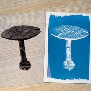 cyanotype print